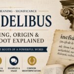 Incfidelibus
